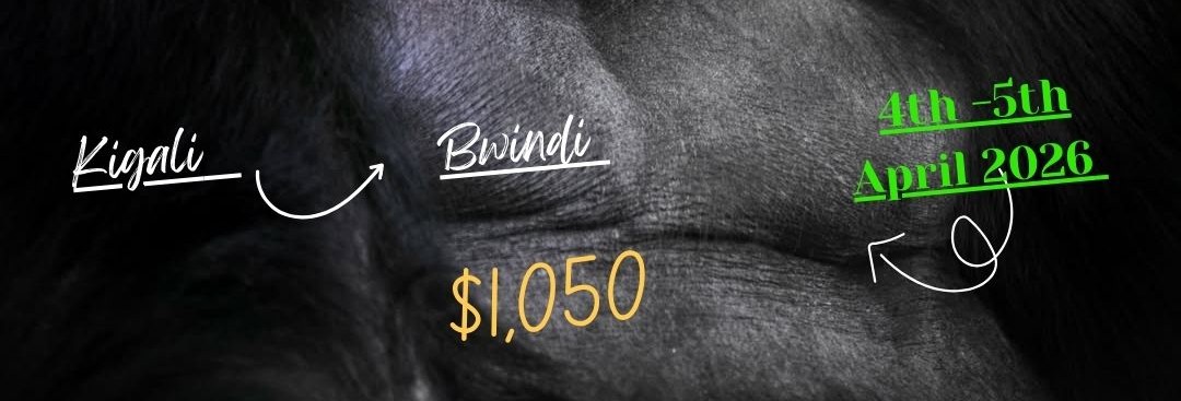 3 Days Cheap Gorilla Trekking