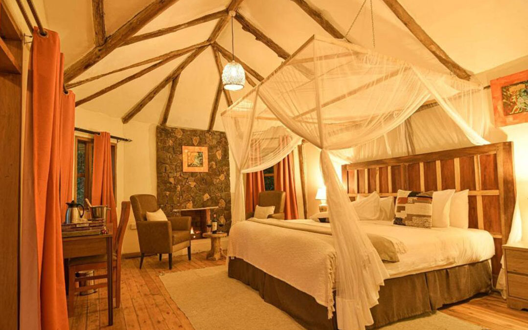Gorilla Safari Lodge