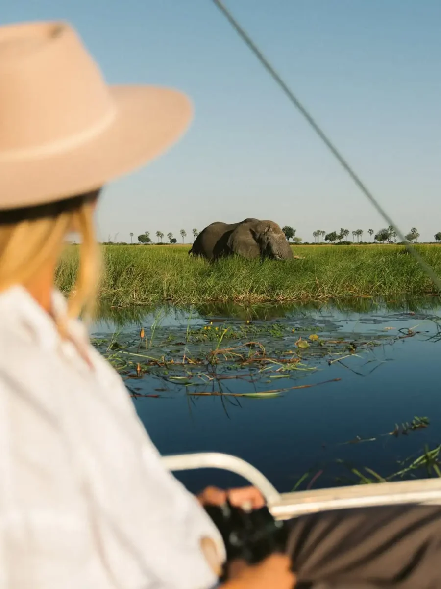 Botswana Safari and Gorilla Trekking