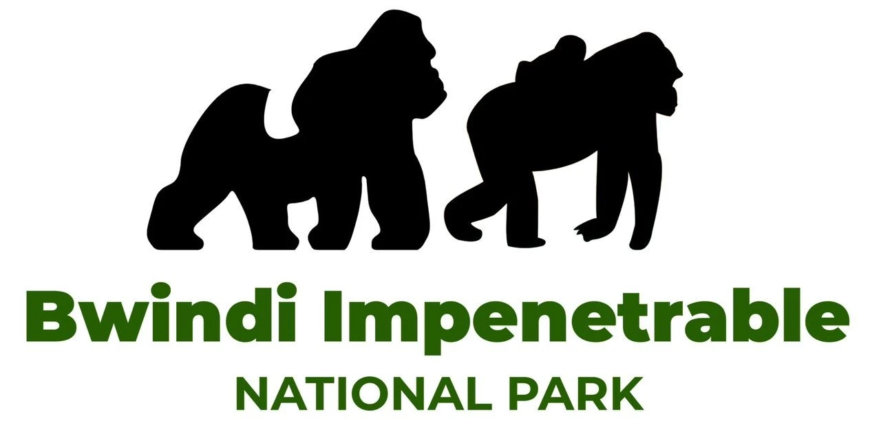 Is Bwindi a Jungle or a Forest?