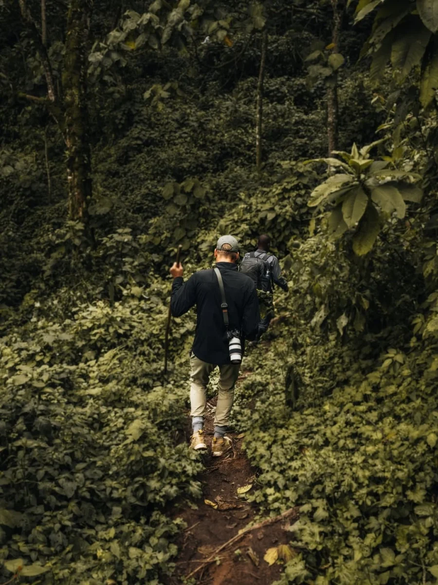 Maisie Williams Bwindi Gorilla