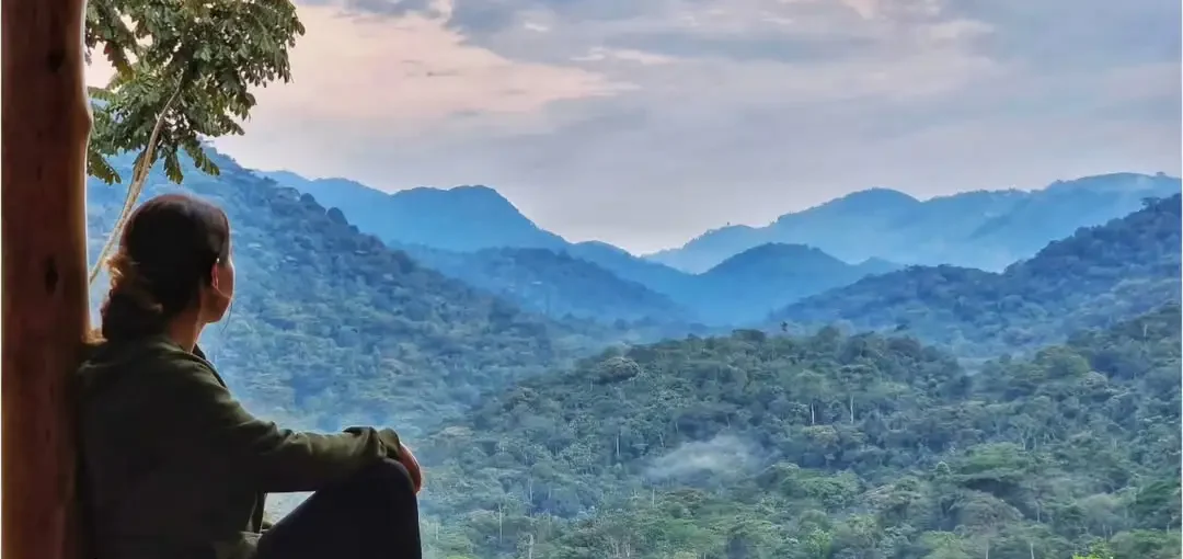 Bwindi Forest name origin