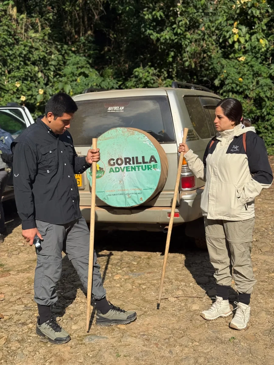 Which Bwindi Gorilla Sector Is Best