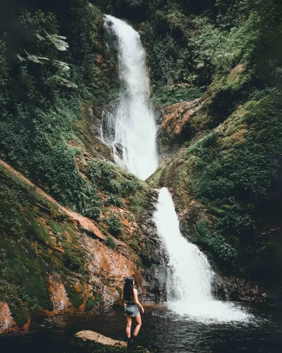 Top Things to Do In Bwindi