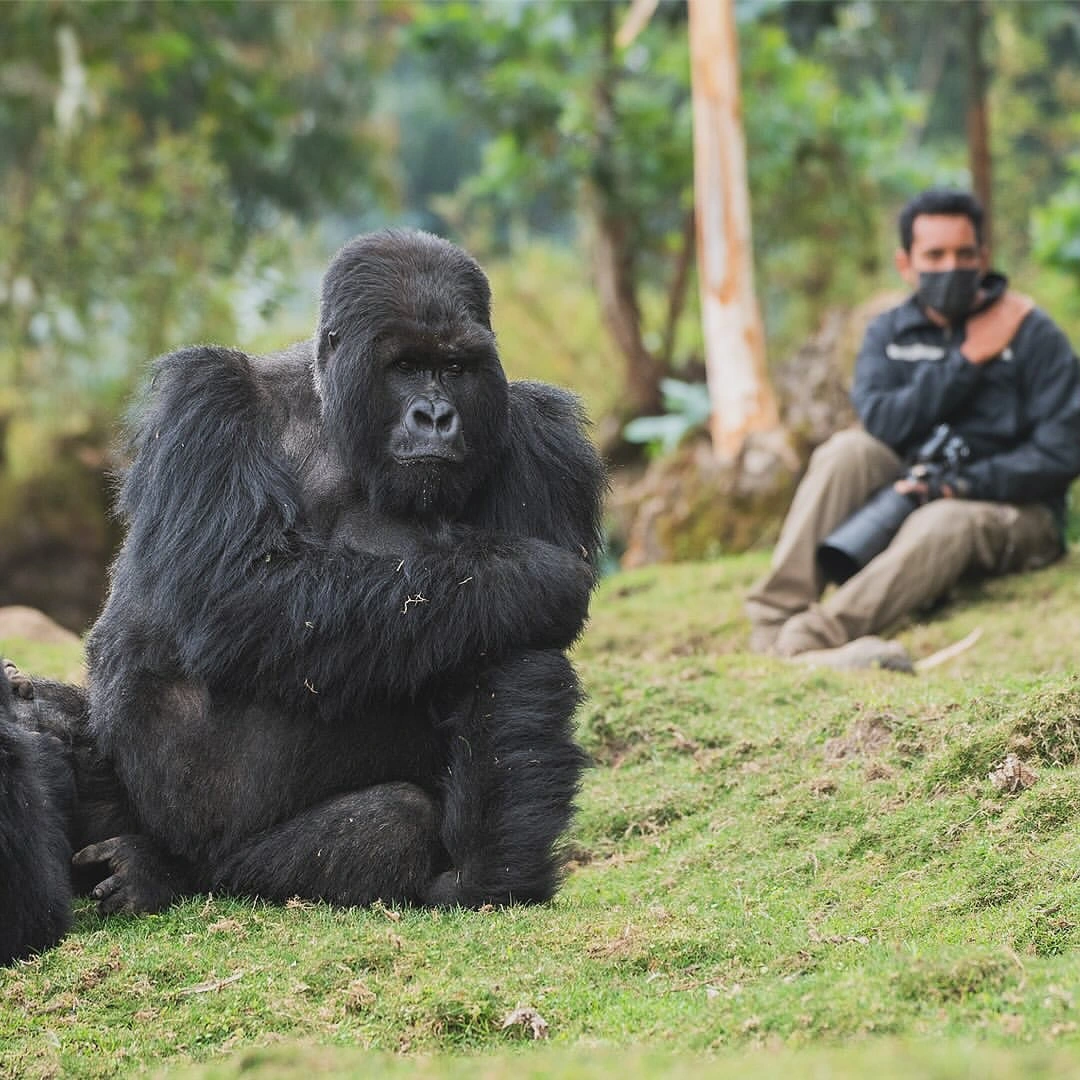 Top Things to Do In Bwindi
