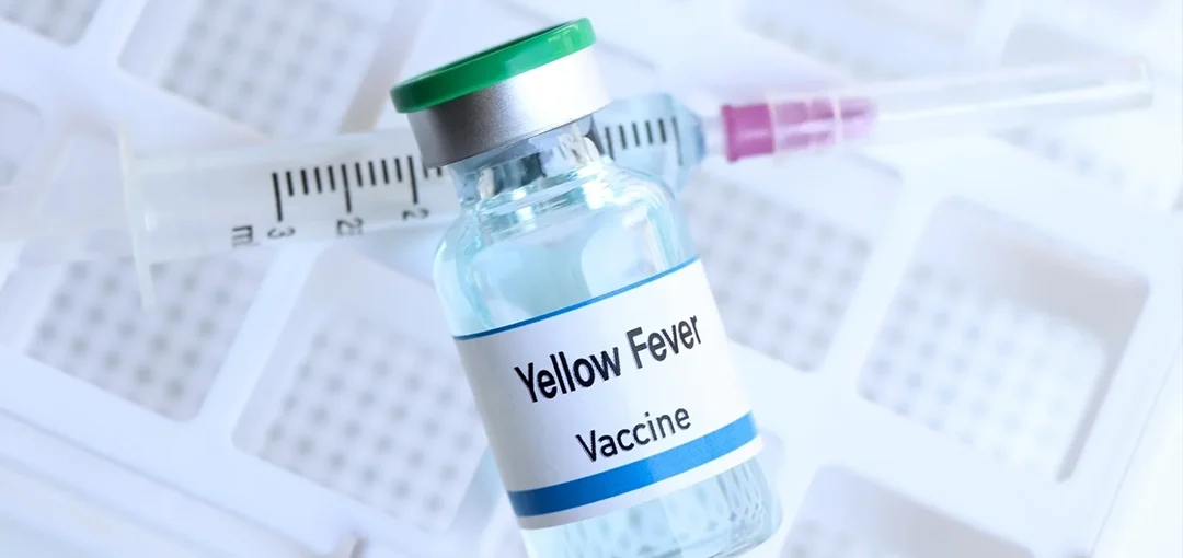 Uganda Yellow Fever Update
